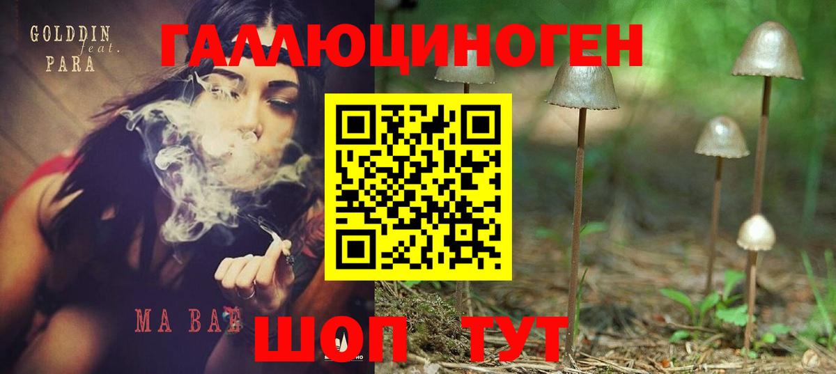 Галлюциногенные грибы мицелий Изобильный