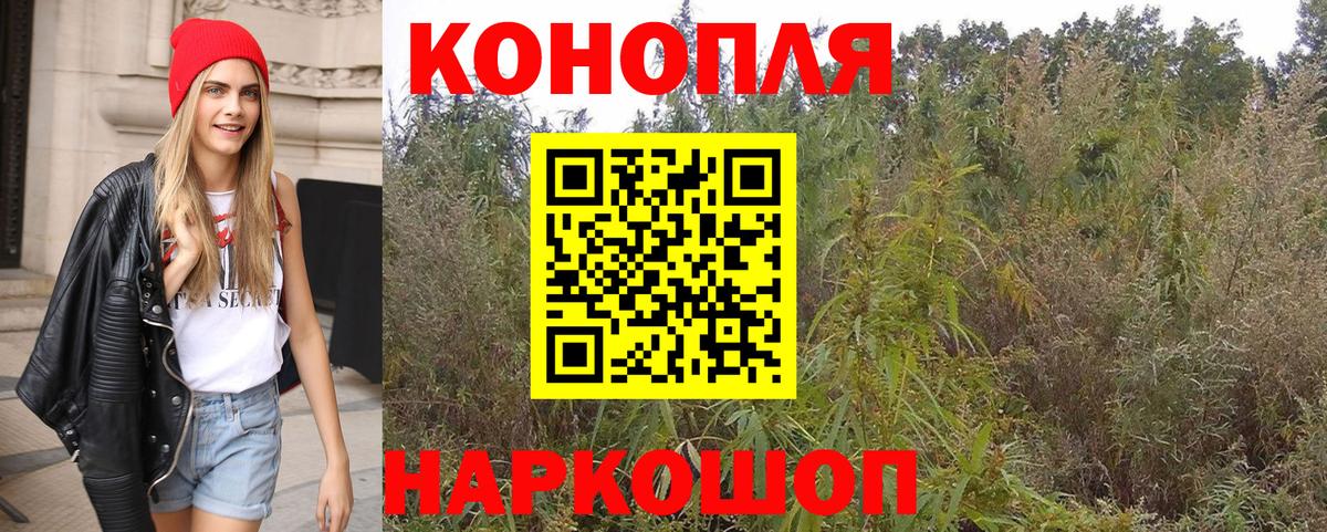 Каннабис сатива Изобильный